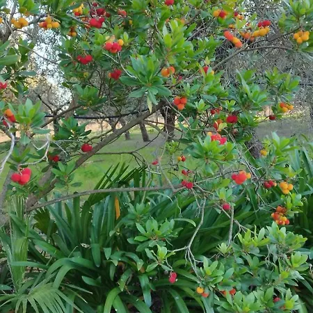 Masseria Caracci * Veglie