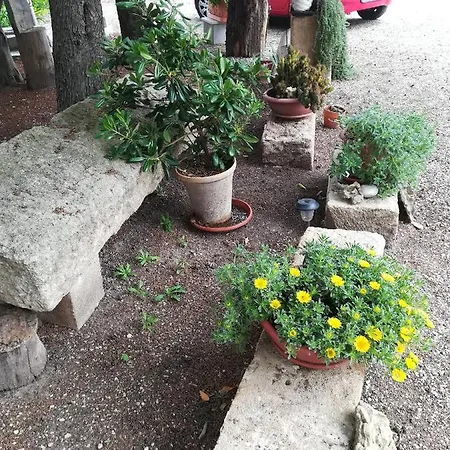 Apartament Masseria Caracci *