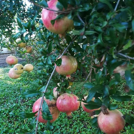 Masseria Caracci * Veglie