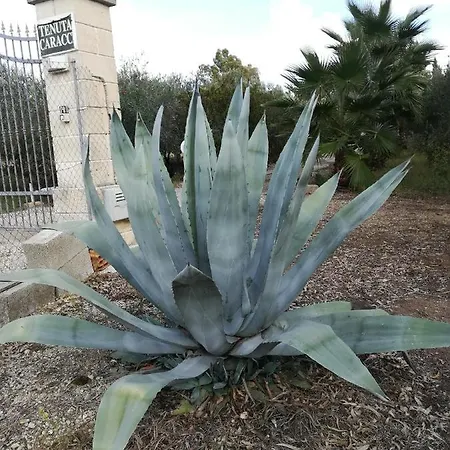 Apartament Masseria Caracci