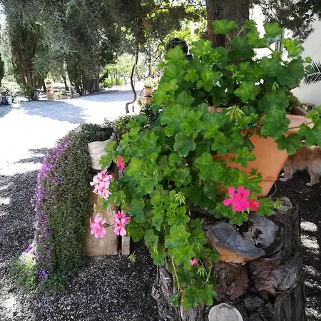 Masseria Caracci * Veglie