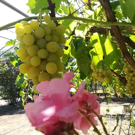 Apartament Masseria Caracci *