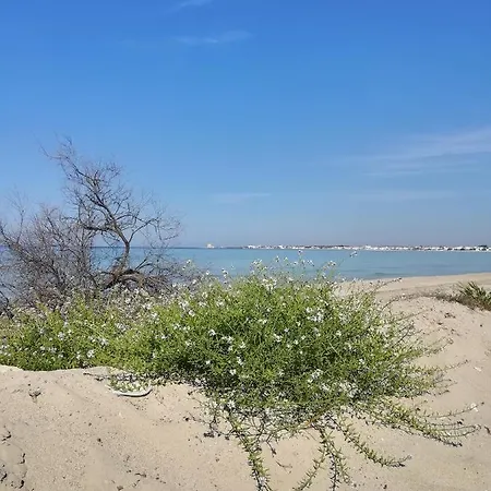 Apartament Masseria Caracci