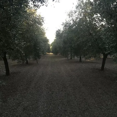 Masseria Caracci * Veglie